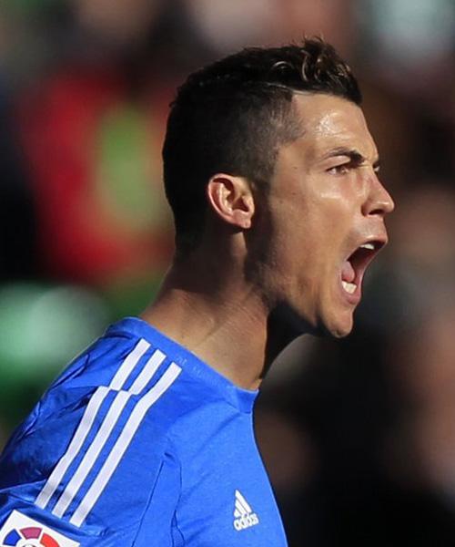 哈登便迅速 哈登便迅速