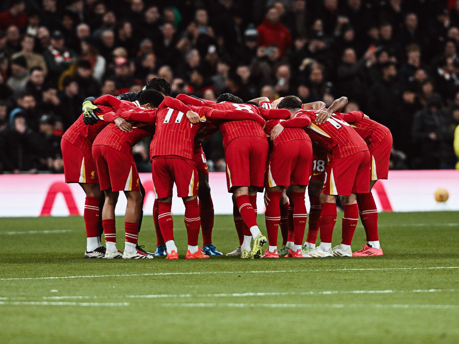 本文的主题 本文的主题